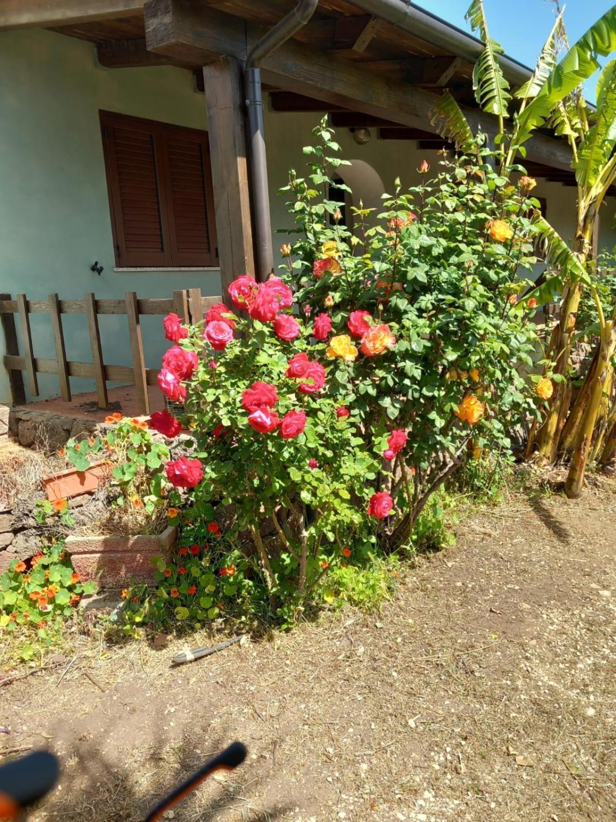 Agriturismo Su Tiresi Cala Gonone Exterior photo