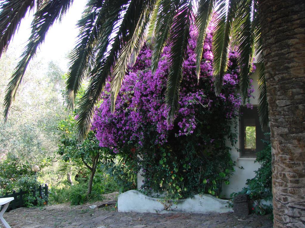 Agriturismo Su Tiresi Villa Galtelli Exterior photo