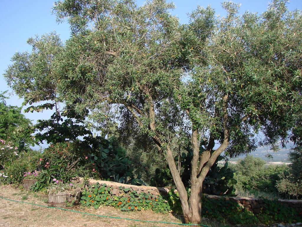 Agriturismo Su Tiresi Cala Gonone Exterior photo