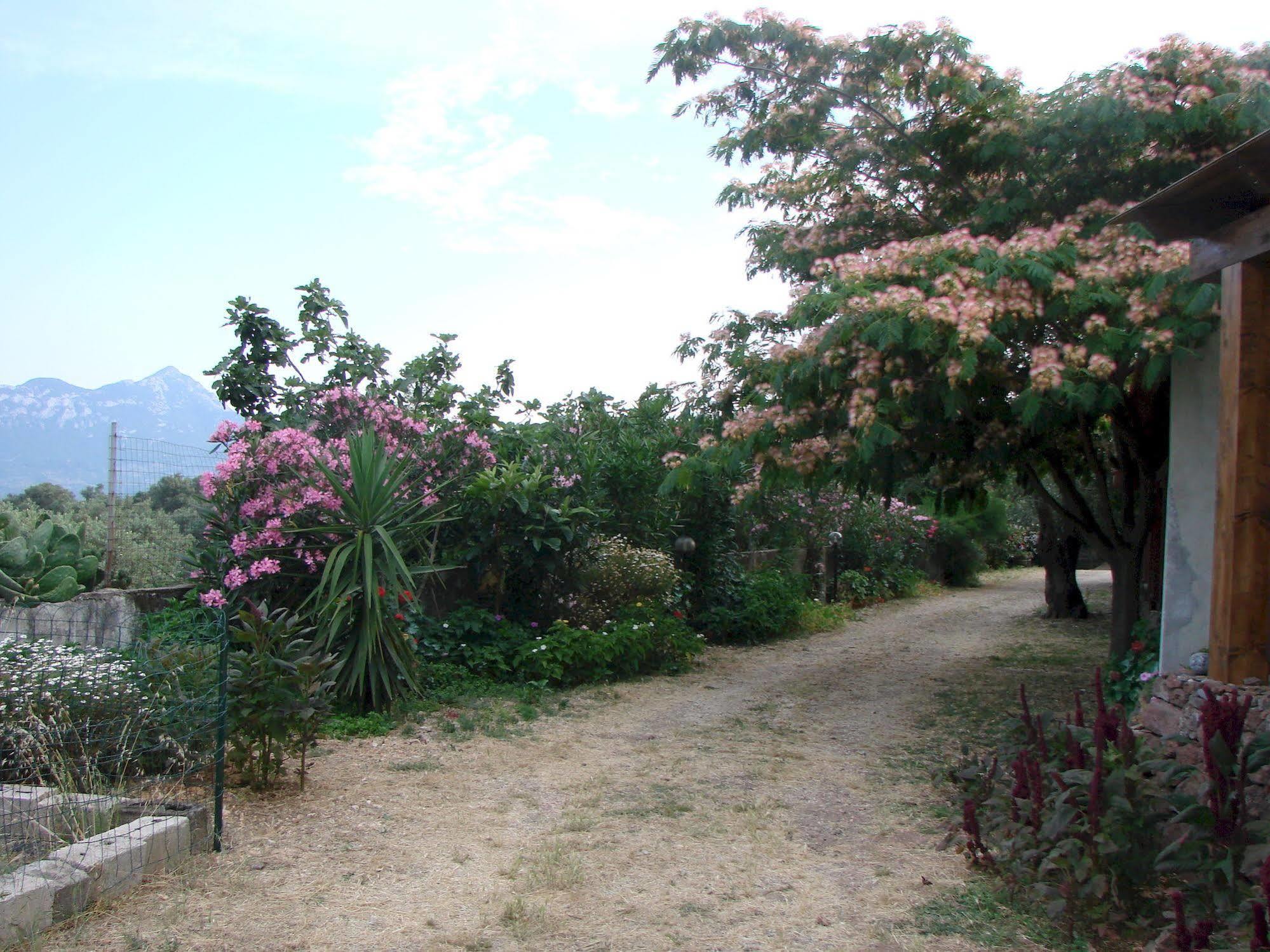 Agriturismo Su Tiresi Cala Gonone Exterior photo