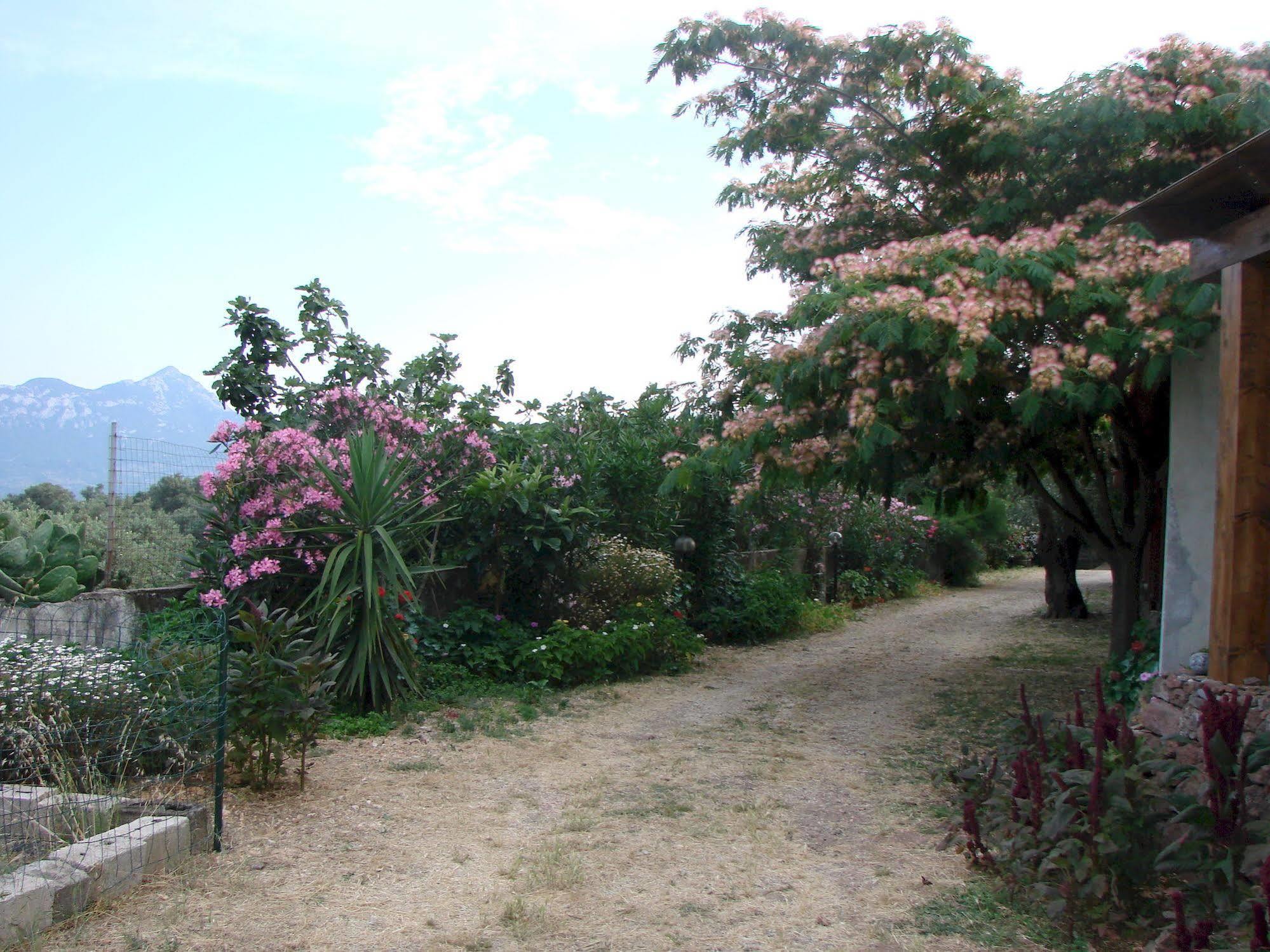 Agriturismo Su Tiresi Villa Galtelli Exterior photo