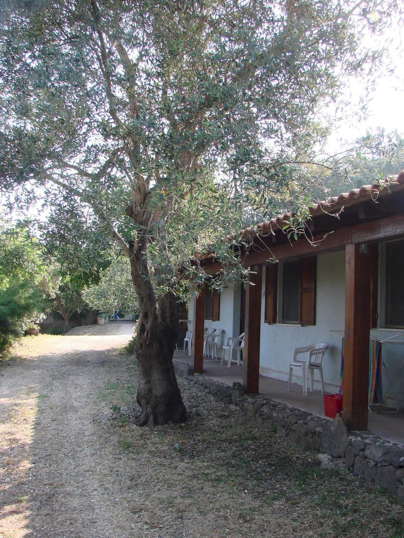 Agriturismo Su Tiresi Cala Gonone Exterior photo