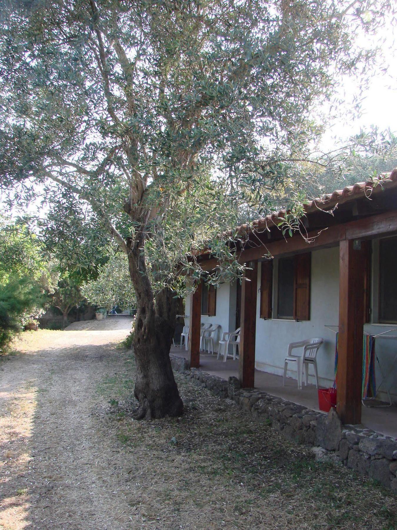 Agriturismo Su Tiresi Villa Galtelli Exterior photo