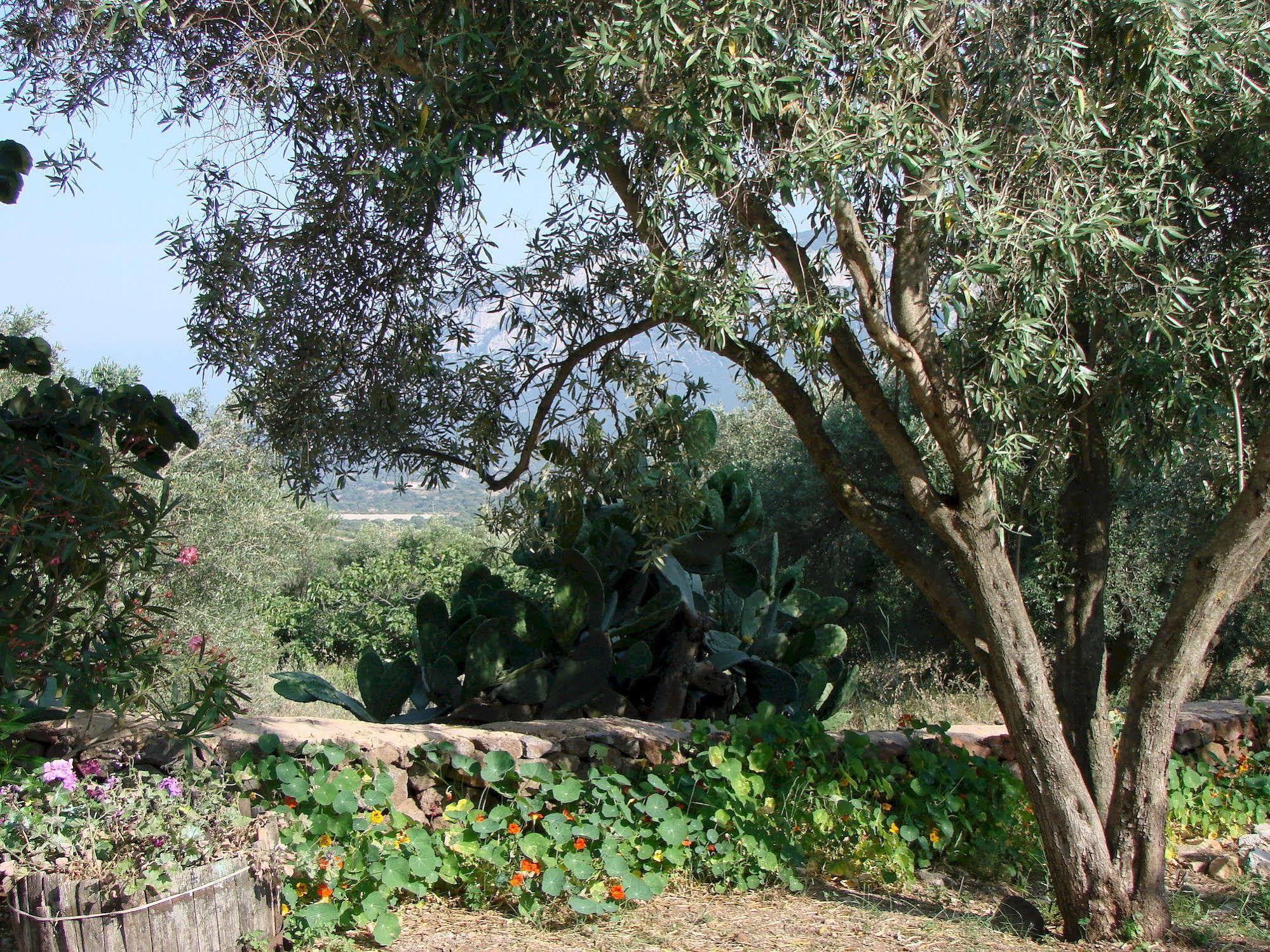 Agriturismo Su Tiresi Cala Gonone Exterior photo