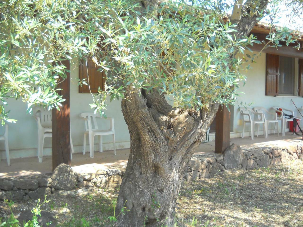 Agriturismo Su Tiresi Cala Gonone Exterior photo