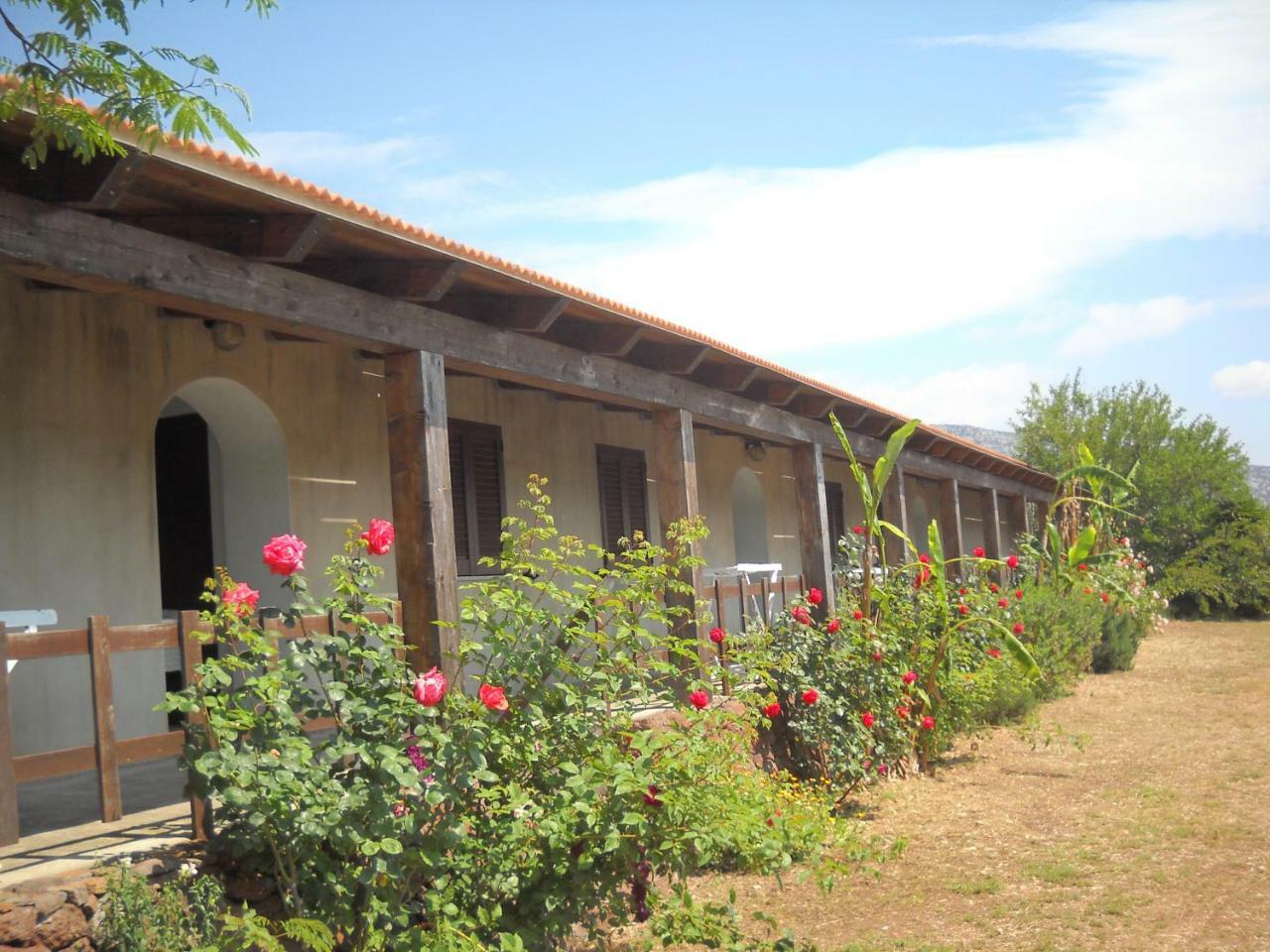 Agriturismo Su Tiresi Villa Galtelli Exterior photo